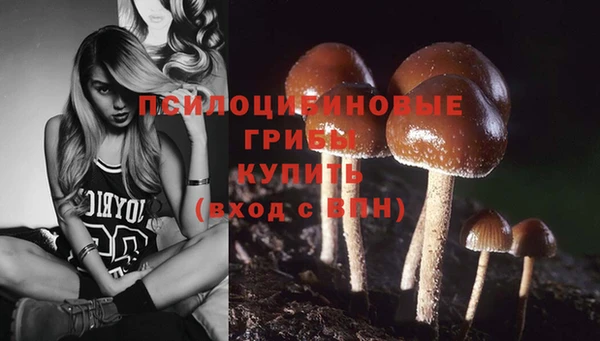 скорость Абинск