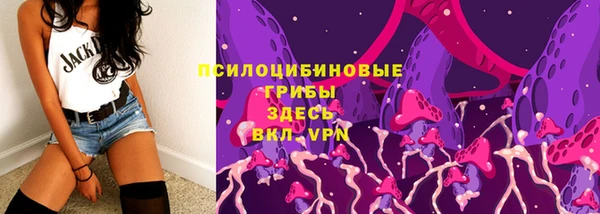 ГАЛЛЮЦИНОГЕННЫЕ ГРИБЫ Абдулино