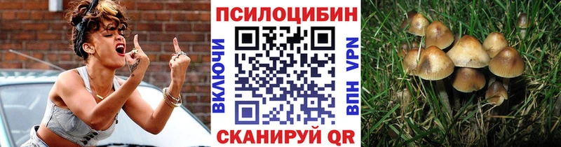 что такое наркотик OMG Псилоцибиновые грибы Psilocybe Агрыз