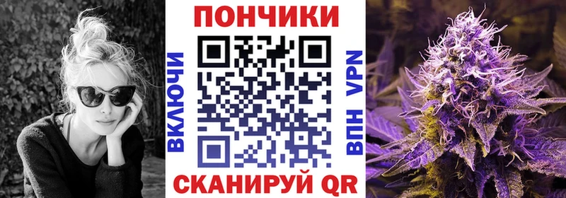 Бошки марихуана индика  Агрыз 